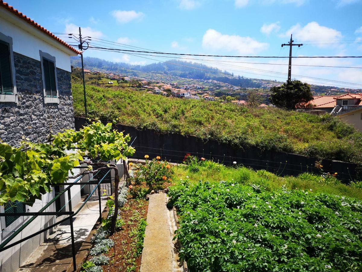 Madeira Inn Casa Da Paz Calheta  Extérieur photo